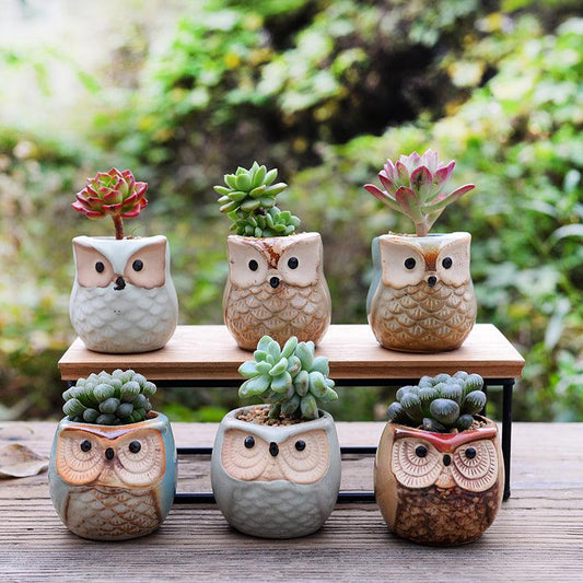 6-Piece Small Owl Ceramic Succulent Planter Pots