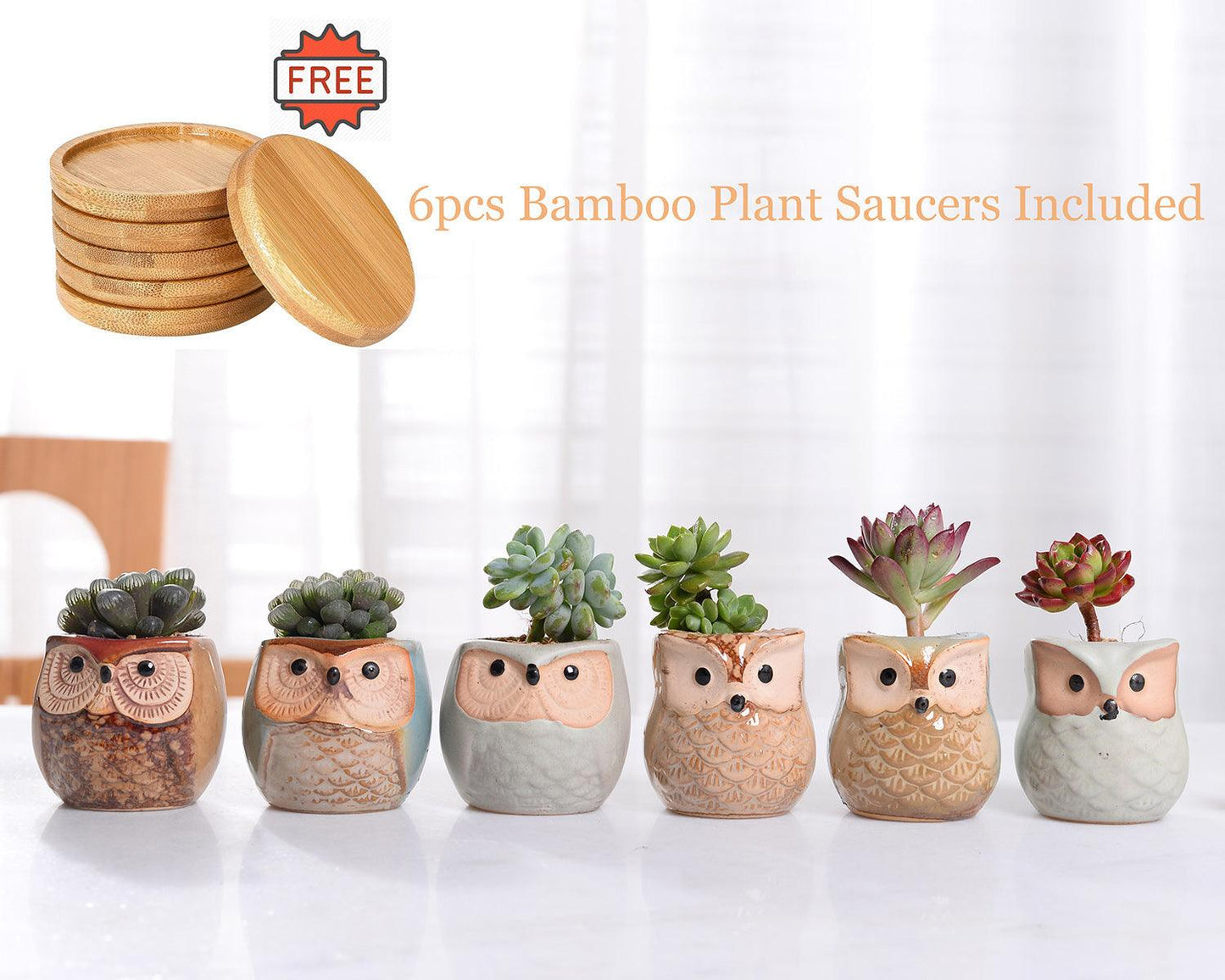 6-Piece Small Owl Ceramic Succulent Planter Pots