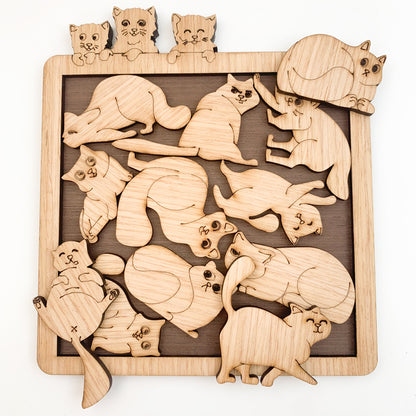 Super Difficult Puzzle: Cute Cat Alien Shaped Brain-Teasing Puzzle