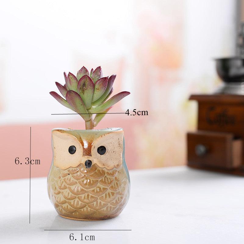 6-Piece Small Owl Ceramic Succulent Planter Pots