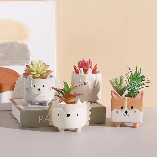 Square Animal Ceramic Succulent Planters