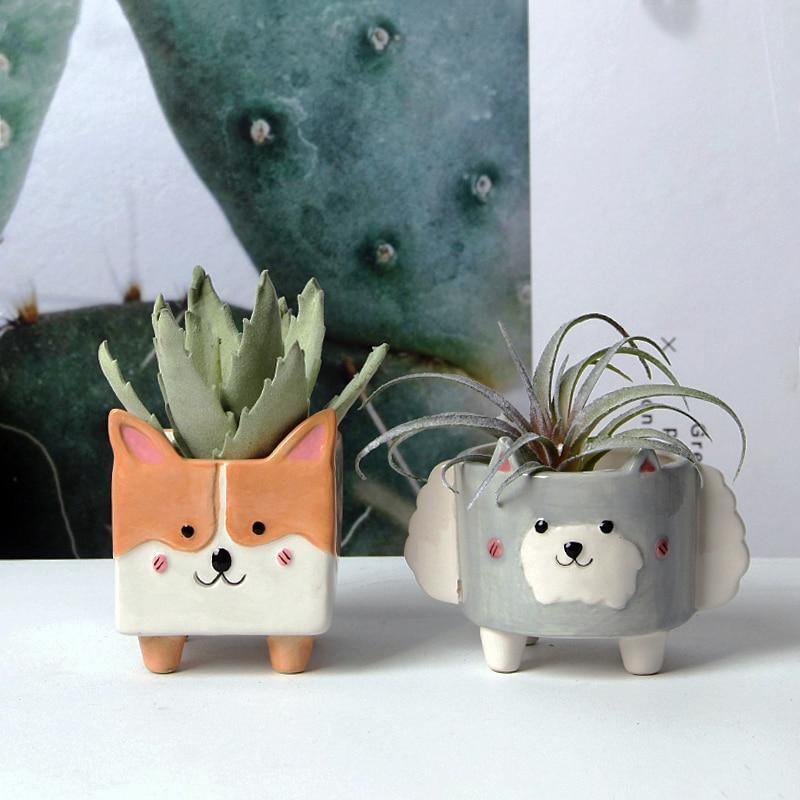 Square Animal Ceramic Succulent Planters