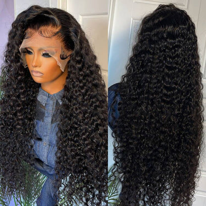 Black Curly Hair 13x4 HD Lace Front Wig Pre Plucked Hairline